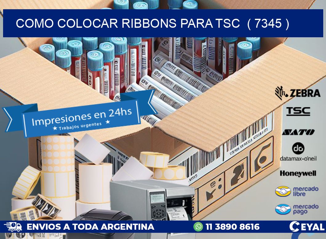 COMO COLOCAR RIBBONS PARA TSC  ( 7345 )