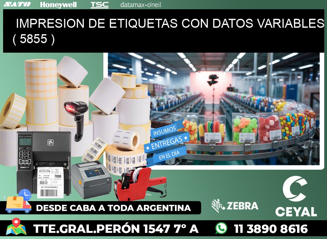 IMPRESION DE ETIQUETAS CON DATOS VARIABLES ( 5855 )