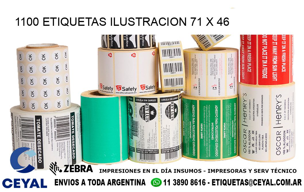 1100 ETIQUETAS ILUSTRACION 71 x 46