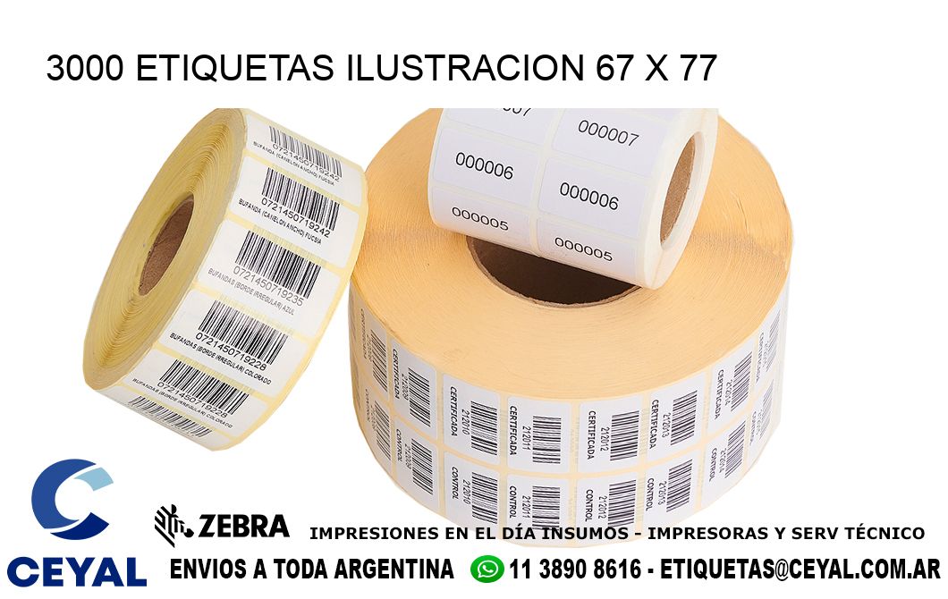 3000 ETIQUETAS ILUSTRACION 67 x 77