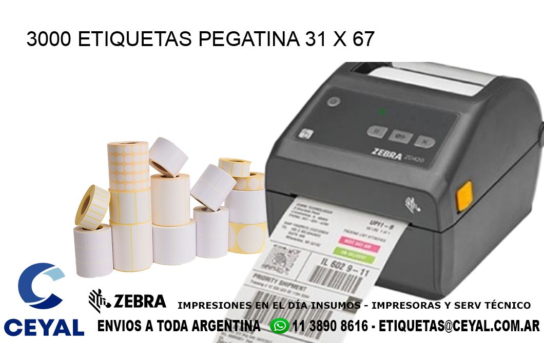 3000 ETIQUETAS PEGATINA 31 x 67
