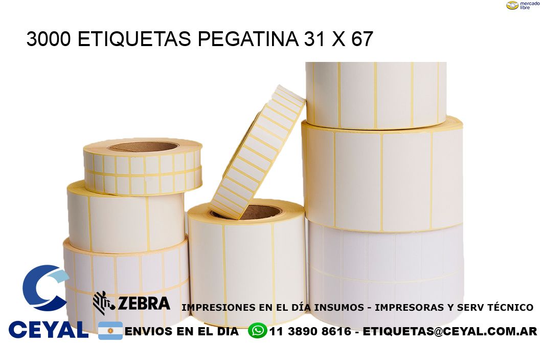 3000 ETIQUETAS PEGATINA 31 x 67