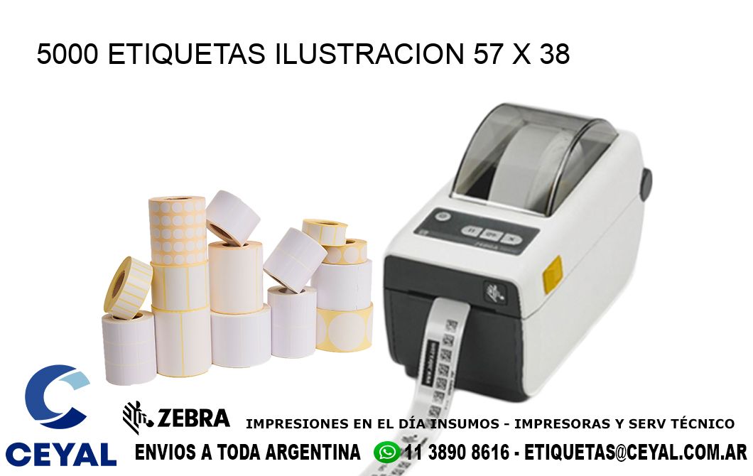 5000 ETIQUETAS ILUSTRACION 57 x 38