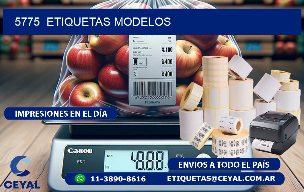 5775 ETIQUETAS MODELOS