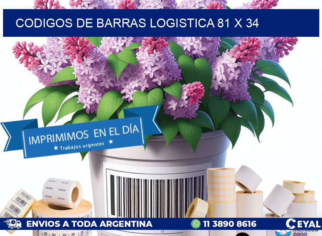 CODIGOS DE BARRAS LOGISTICA 81 x 34