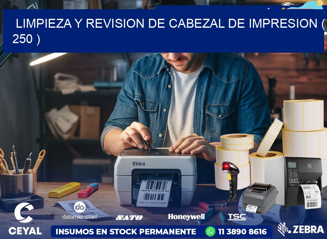 LIMPIEZA Y REVISION DE CABEZAL DE IMPRESION ( 250 )