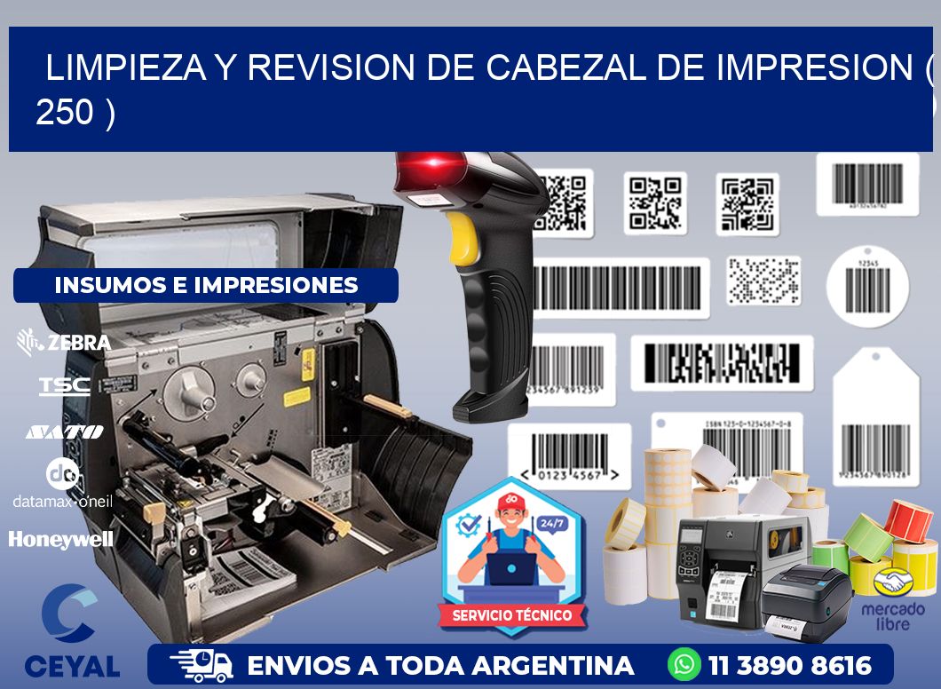 LIMPIEZA Y REVISION DE CABEZAL DE IMPRESION ( 250 )
