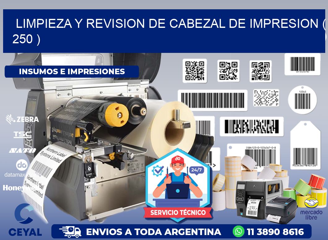 LIMPIEZA Y REVISION DE CABEZAL DE IMPRESION ( 250 )