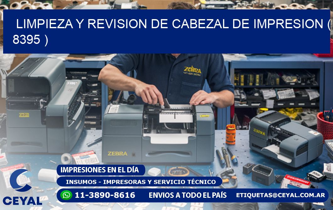 LIMPIEZA Y REVISION DE CABEZAL DE IMPRESION ( 8395 )