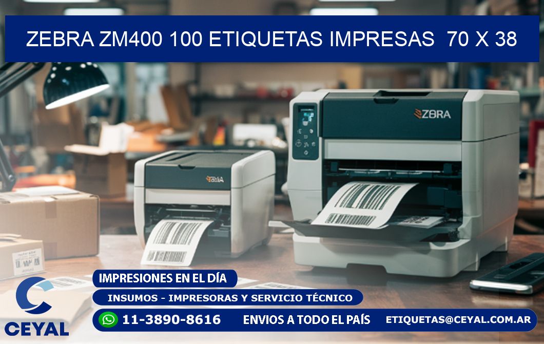 ZEBRA ZM400 100 ETIQUETAS IMPRESAS 70 x 38