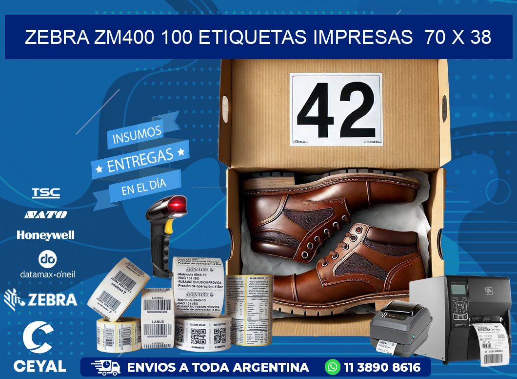 ZEBRA ZM400 100 ETIQUETAS IMPRESAS 70 x 38