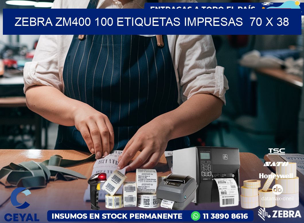 ZEBRA ZM400 100 ETIQUETAS IMPRESAS  70 x 38