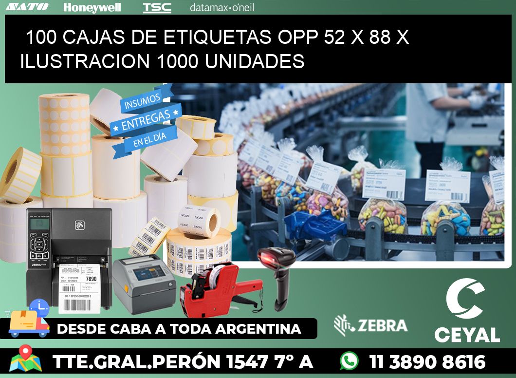 100 CAJAS DE ETIQUETAS OPP 52 x 88 X ILUSTRACION 1000 UNIDADES