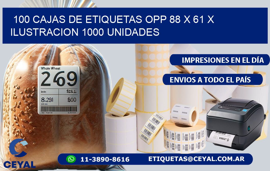 100 CAJAS DE ETIQUETAS OPP 88 x 61 X ILUSTRACION 1000 UNIDADES