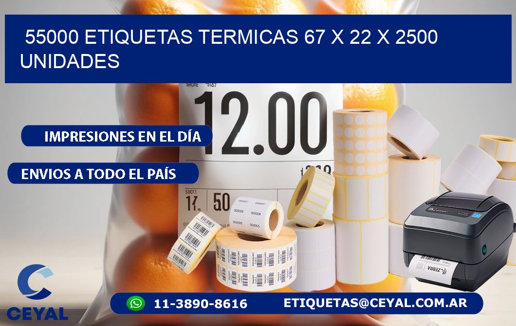 55000 ETIQUETAS TERMICAS 67 x 22 X 2500 UNIDADES