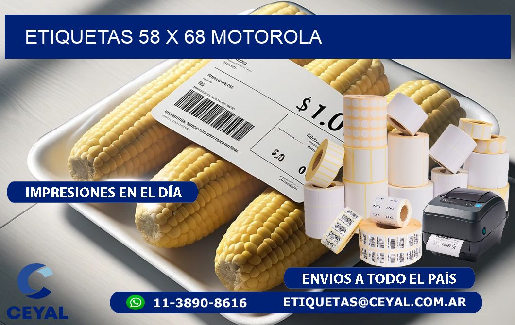 ETIQUETAS 58 x 68 MOTOROLA
