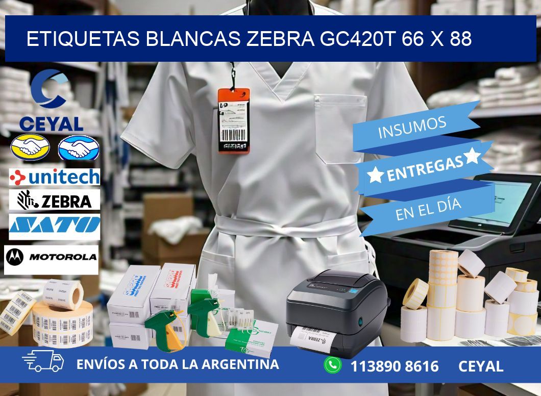 ETIQUETAS BLANCAS ZEBRA GC420T 66 x 88