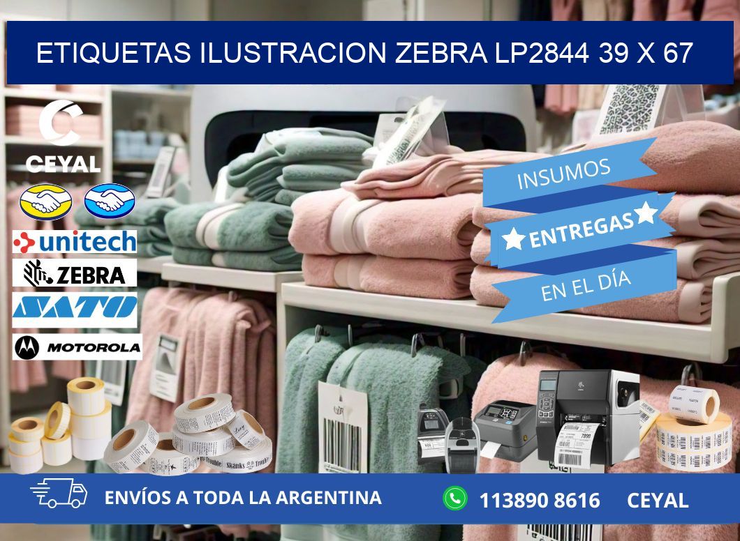 ETIQUETAS ILUSTRACION ZEBRA LP2844 39 x 67