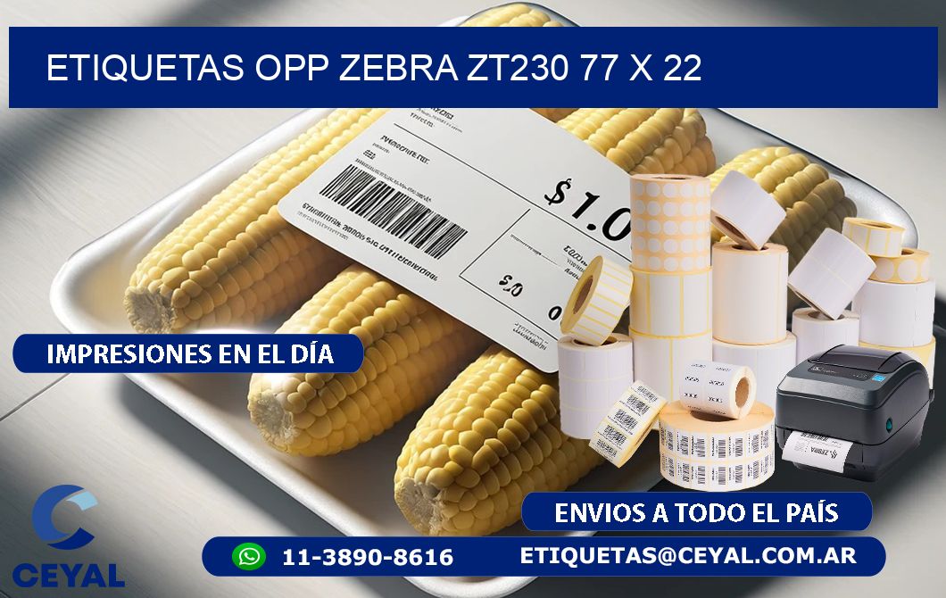 ETIQUETAS OPP ZEBRA ZT230 77 x 22