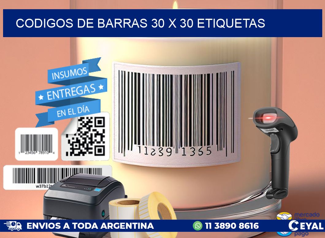 codigos de barras 30 x 30 etiquetas