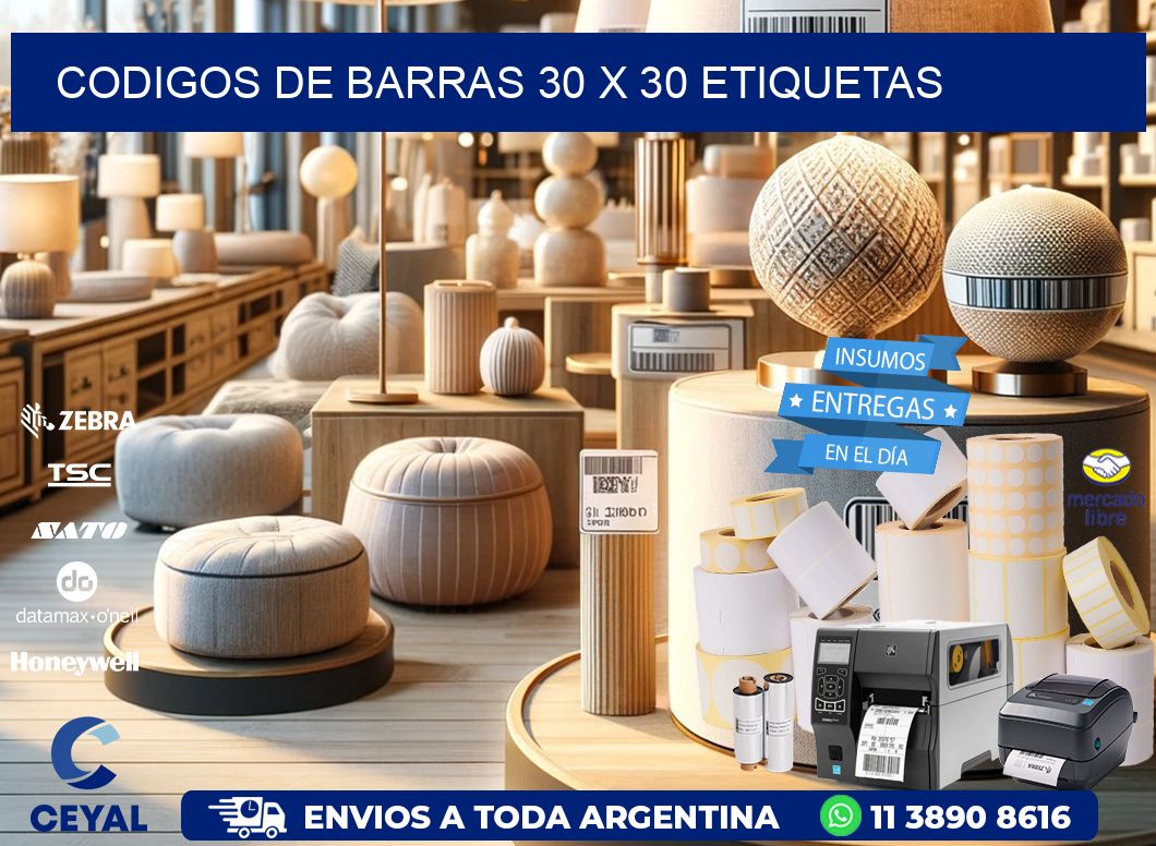 codigos de barras 30 x 30 etiquetas