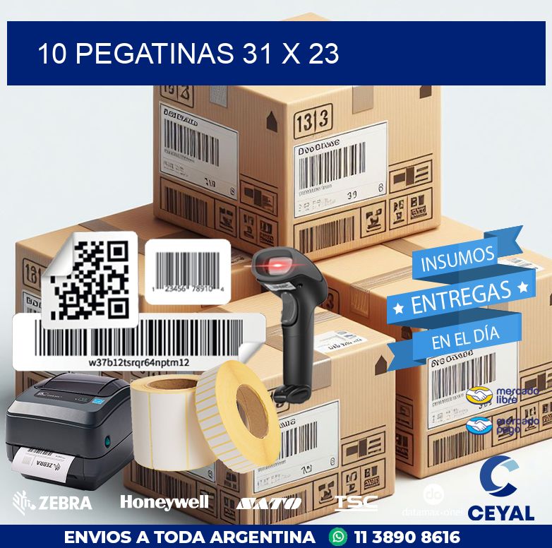 10 PEGATINAS 31 x 23