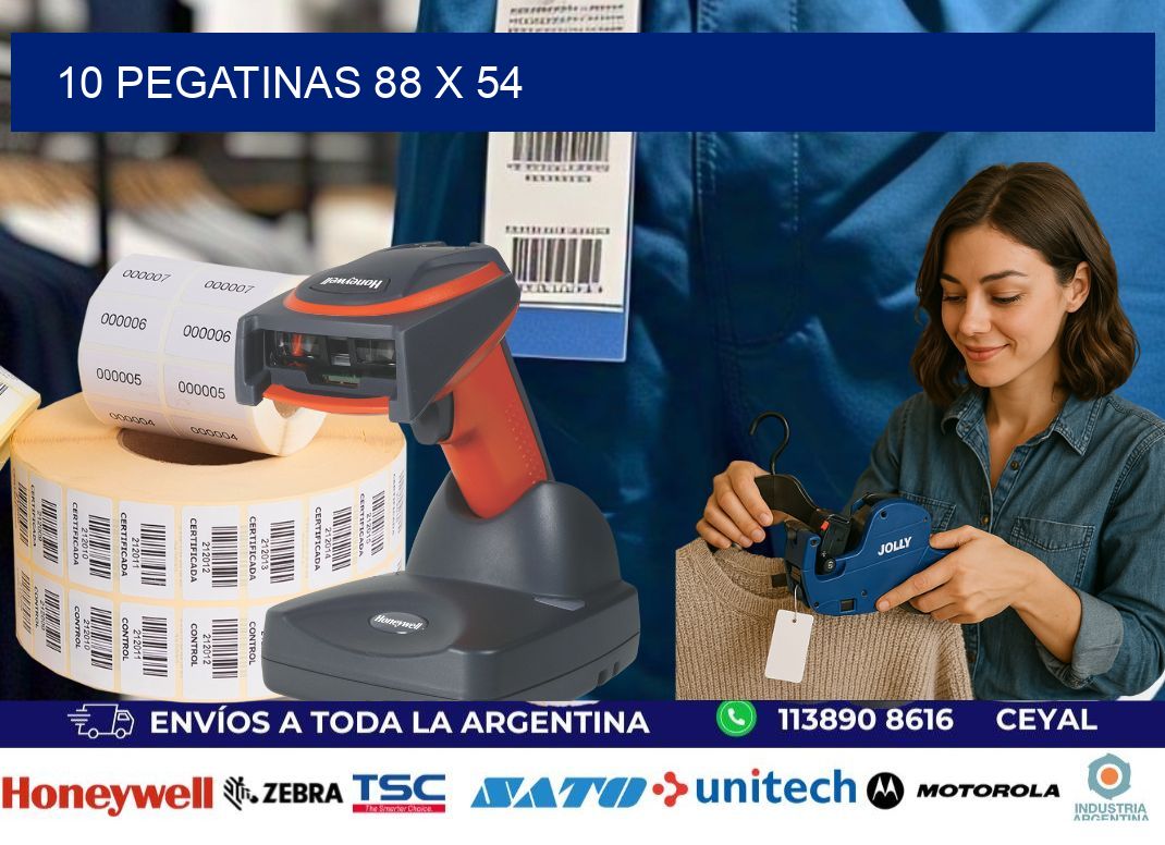 10 PEGATINAS 88 x 54