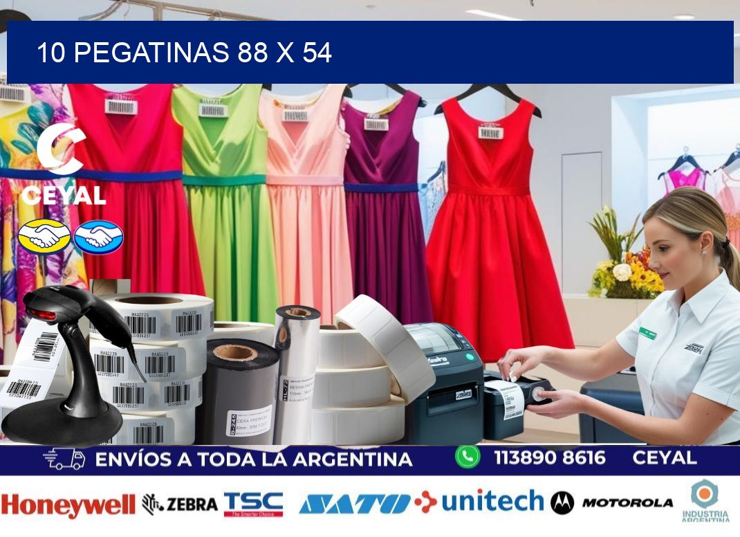 10 PEGATINAS 88 x 54