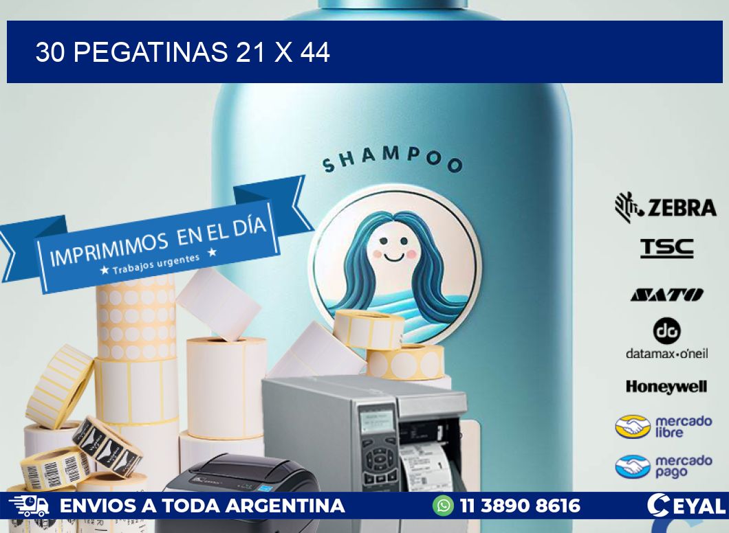 30 PEGATINAS 21 x 44