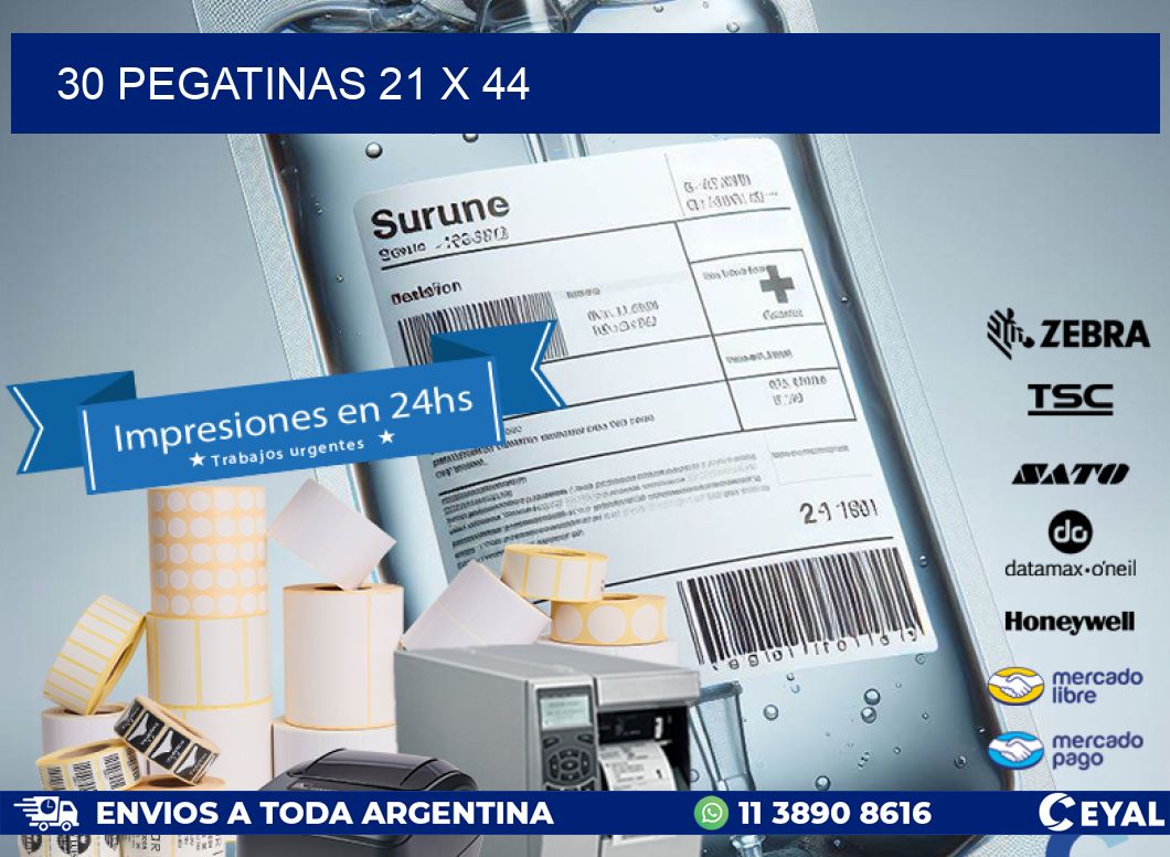 30 PEGATINAS 21 x 44