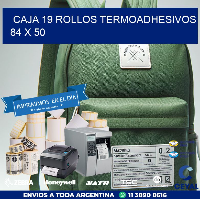 CAJA 19 ROLLOS TERMOADHESIVOS 84 x 50