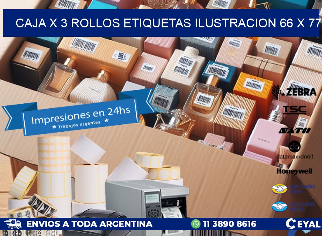 Caja X 3 Rollos Etiquetas Ilustracion 66 x 77