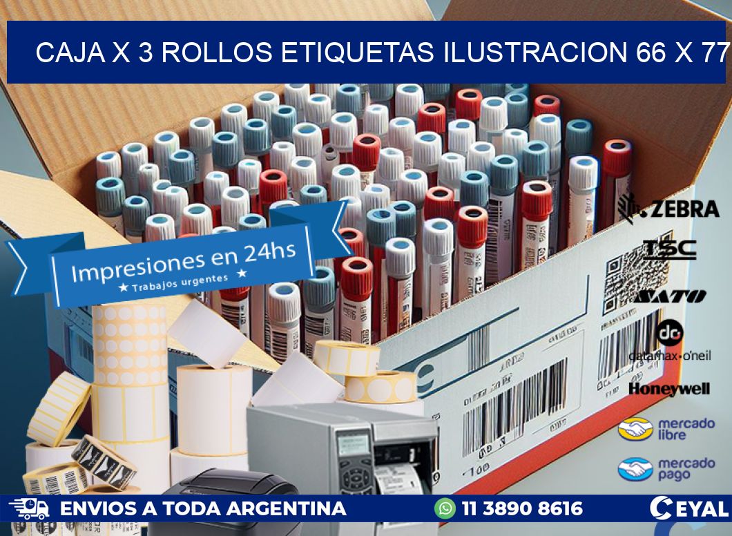 Caja X 3 Rollos Etiquetas Ilustracion 66 x 77