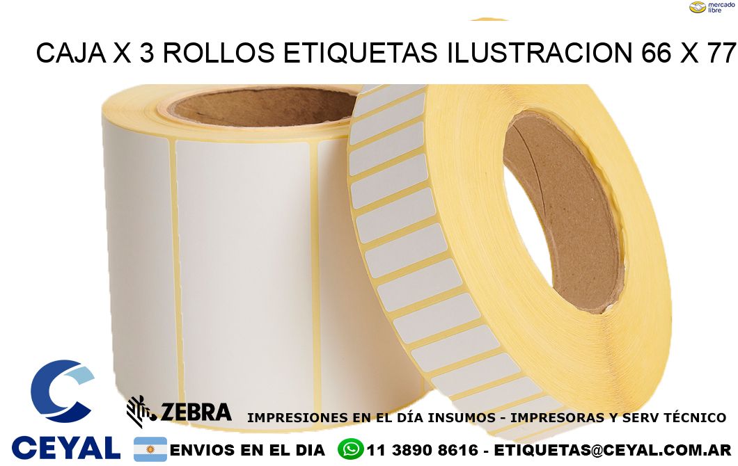 Caja X 3 Rollos Etiquetas Ilustracion 66 x 77