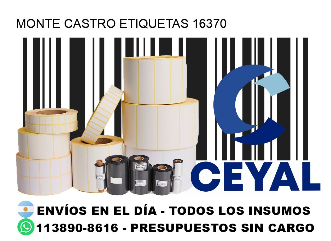 Monte Castro etiquetas 16370
