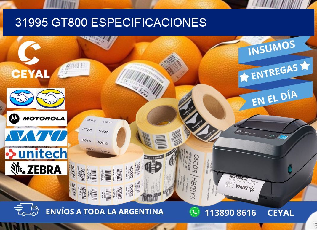 31995 GT800 especificaciones