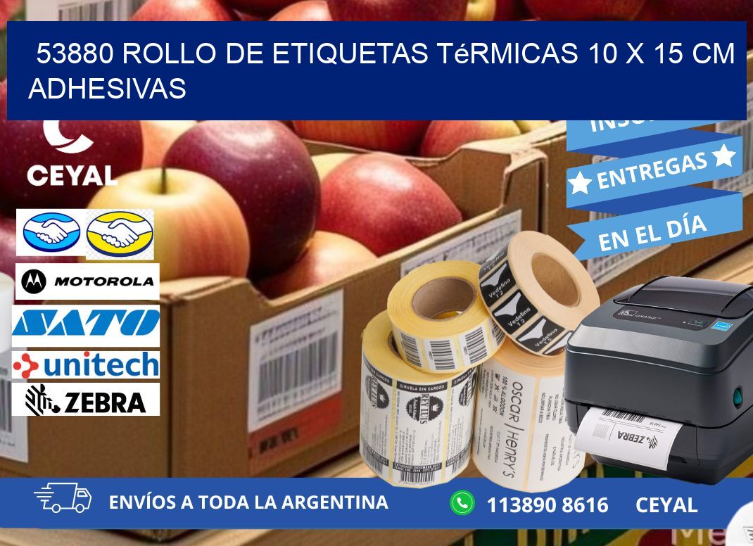 53880 Rollo de Etiquetas Térmicas 10 x 15 cm Adhesivas