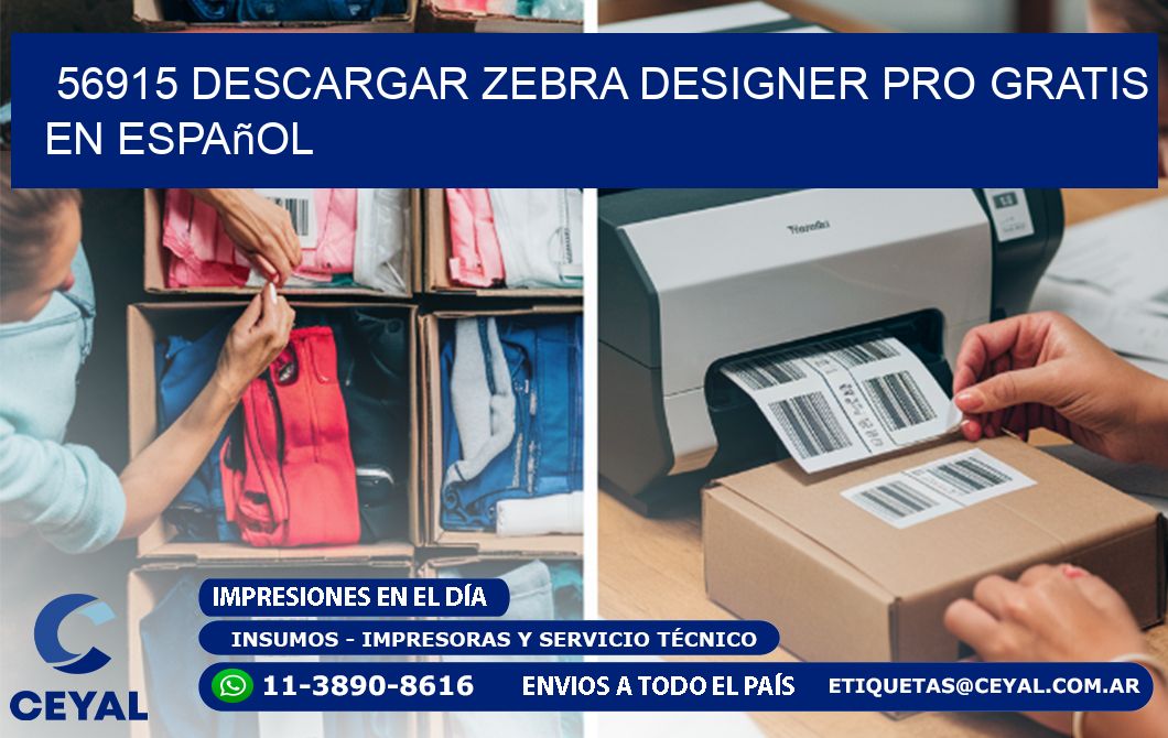 56915 Descargar Zebra Designer Pro gratis en Español