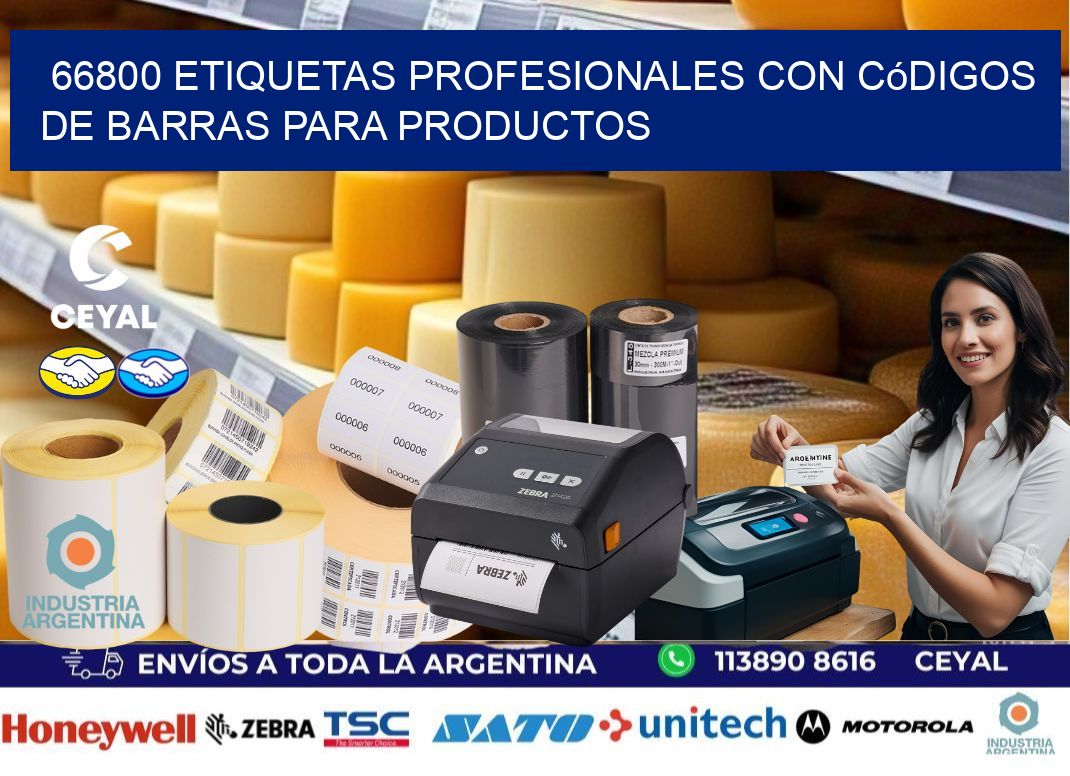66800 Etiquetas profesionales con códigos de barras para productos