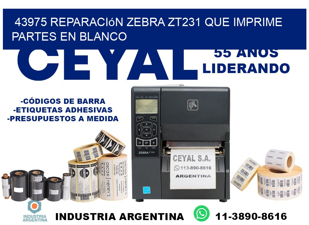 43975 reparación zebra zt231 que imprime partes en blanco
