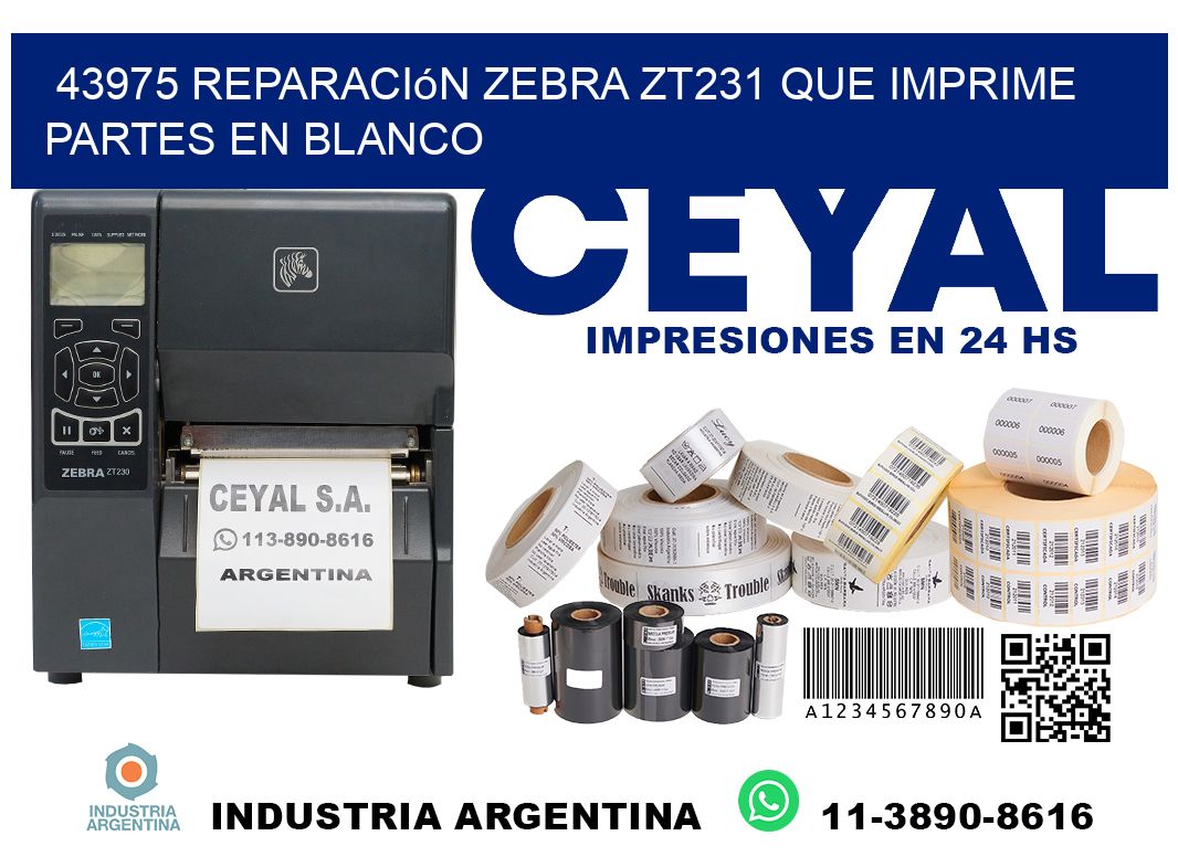 43975 reparación zebra zt231 que imprime partes en blanco
