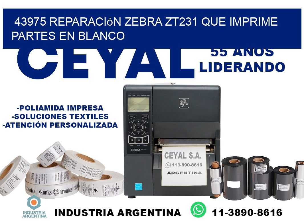 43975 reparación zebra zt231 que imprime partes en blanco