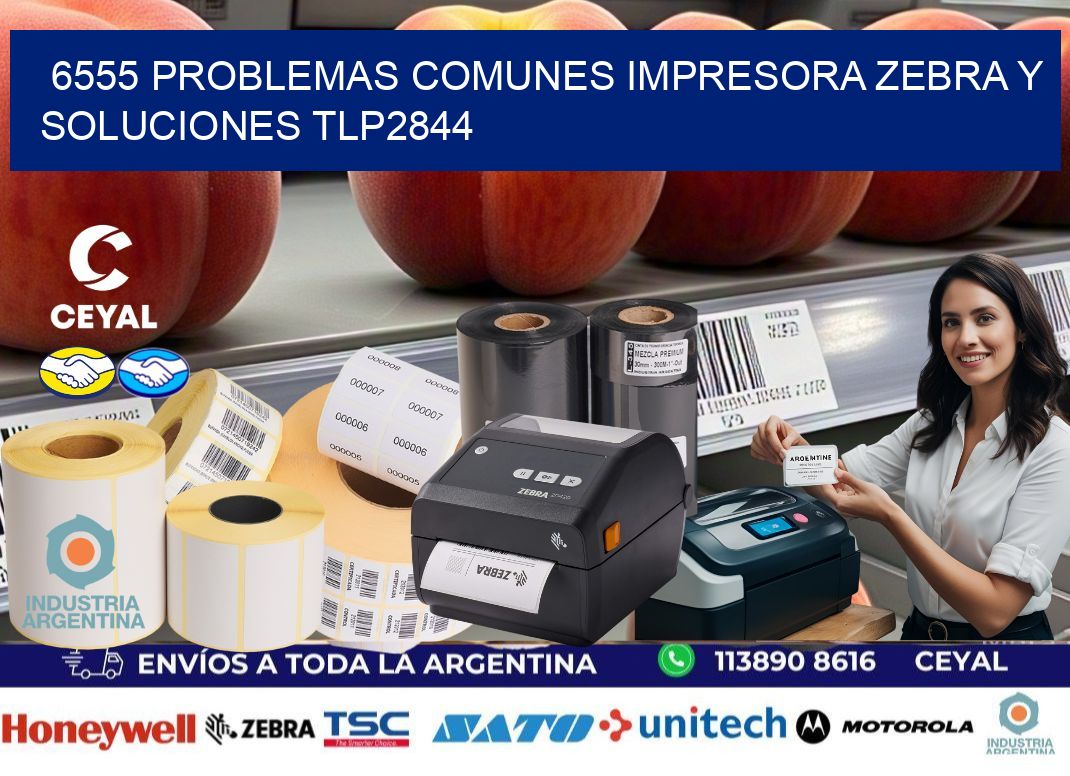 6555 problemas comunes impresora Zebra y soluciones TLP2844