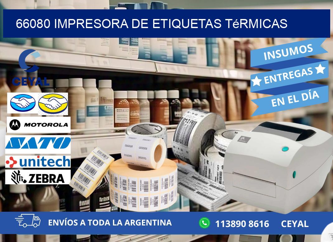 66080 Impresora de etiquetas térmicas