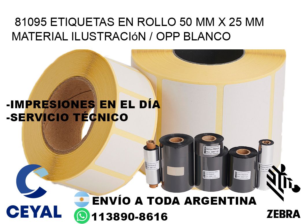 81095 Etiquetas en rollo 50 mm x 25 mm material Ilustración / OPP Blanco