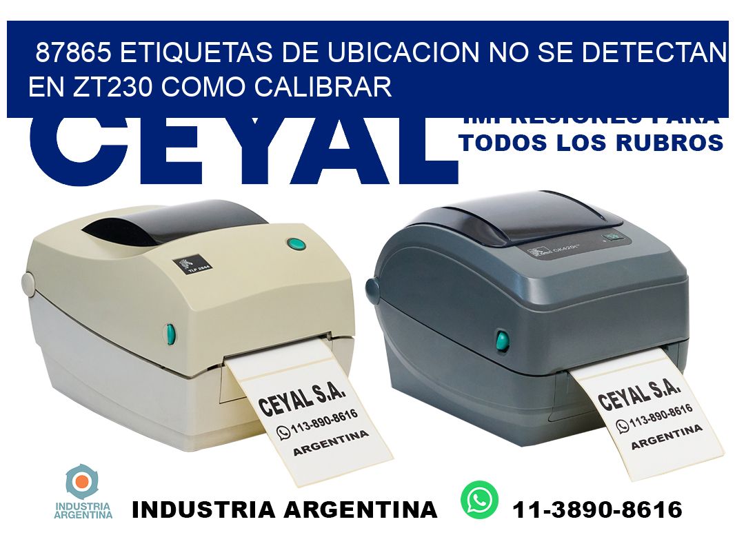 87865 etiquetas de ubicacion no se detectan en zt230 como calibrar