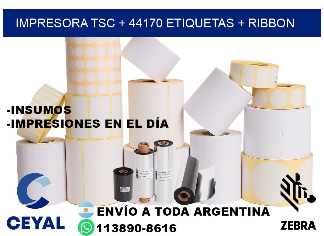 impresora TSC + 44170 etiquetas + ribbon