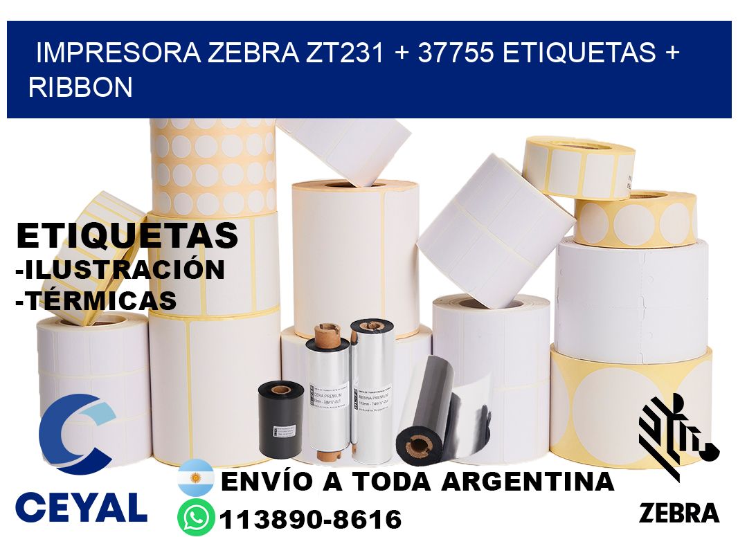impresora zebra zt231 + 37755 etiquetas + ribbon