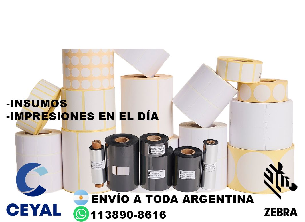 impresora zebra zt231 + 37755 etiquetas + ribbon