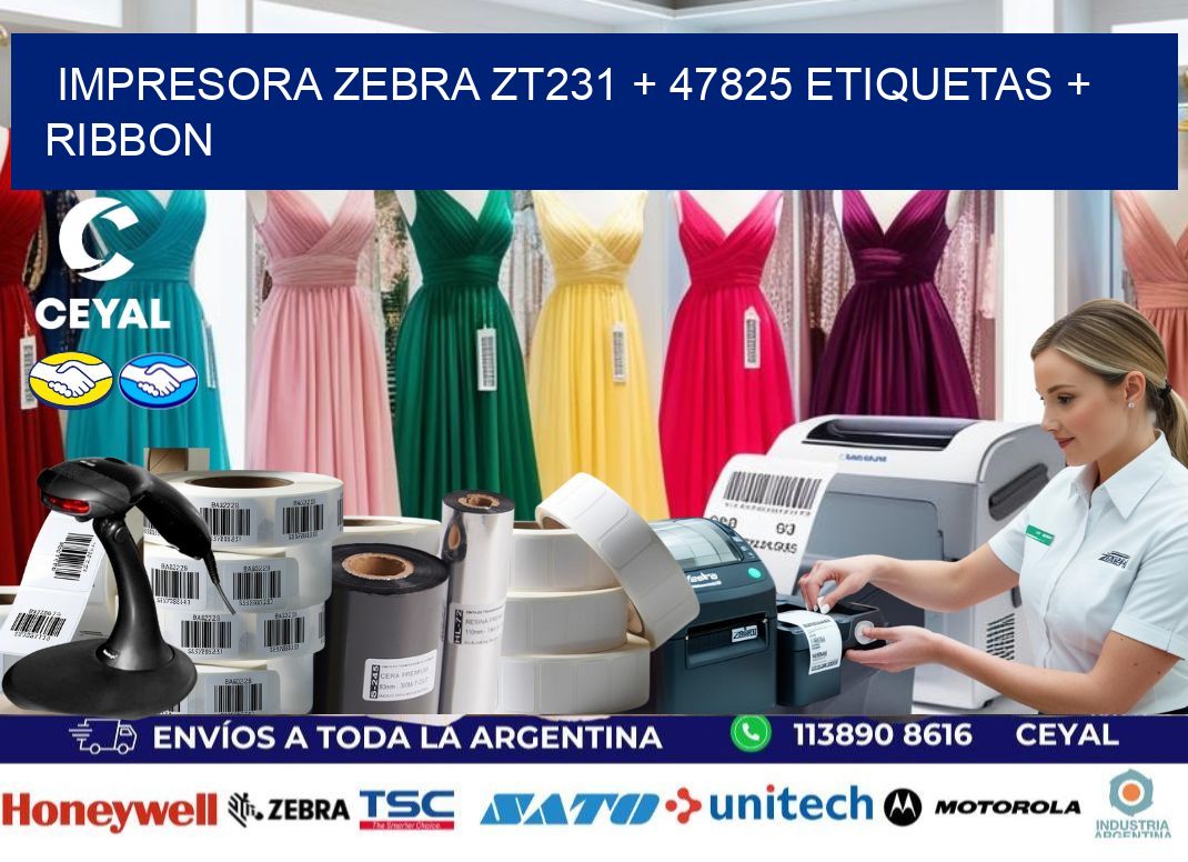 impresora zebra zt231 + 47825 etiquetas + ribbon